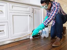 Best Residential Pest Control  in Bossier City, LA